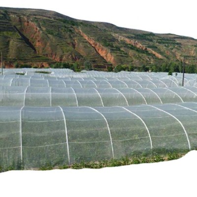 Insect Netting 40 Mesh Agricultural Plastic Insect Mesh Anti Aphid Net