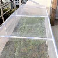 Garden and Greenhouse use UV Treated HDPE Anti Insect Net