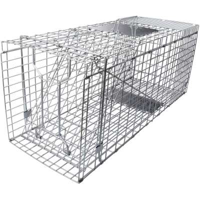 humane rabbit trap for how to trap a rabbit in cage